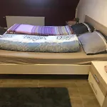 Misha,S Place
